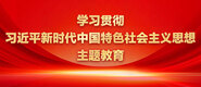 晚上睡觉被人插入的网站学习贯彻习近平新时代中国特色社会主义思想主题教育_fororder_ad-371X160(2)